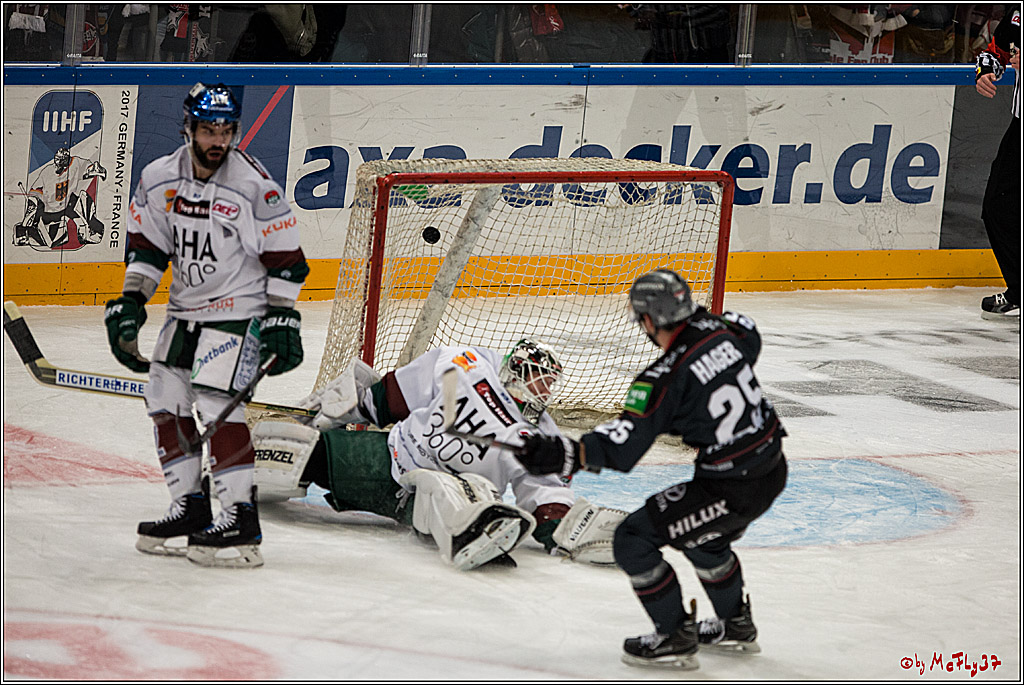 DEL, Koelner Haie - Augsburger Panther, 13.01.2017